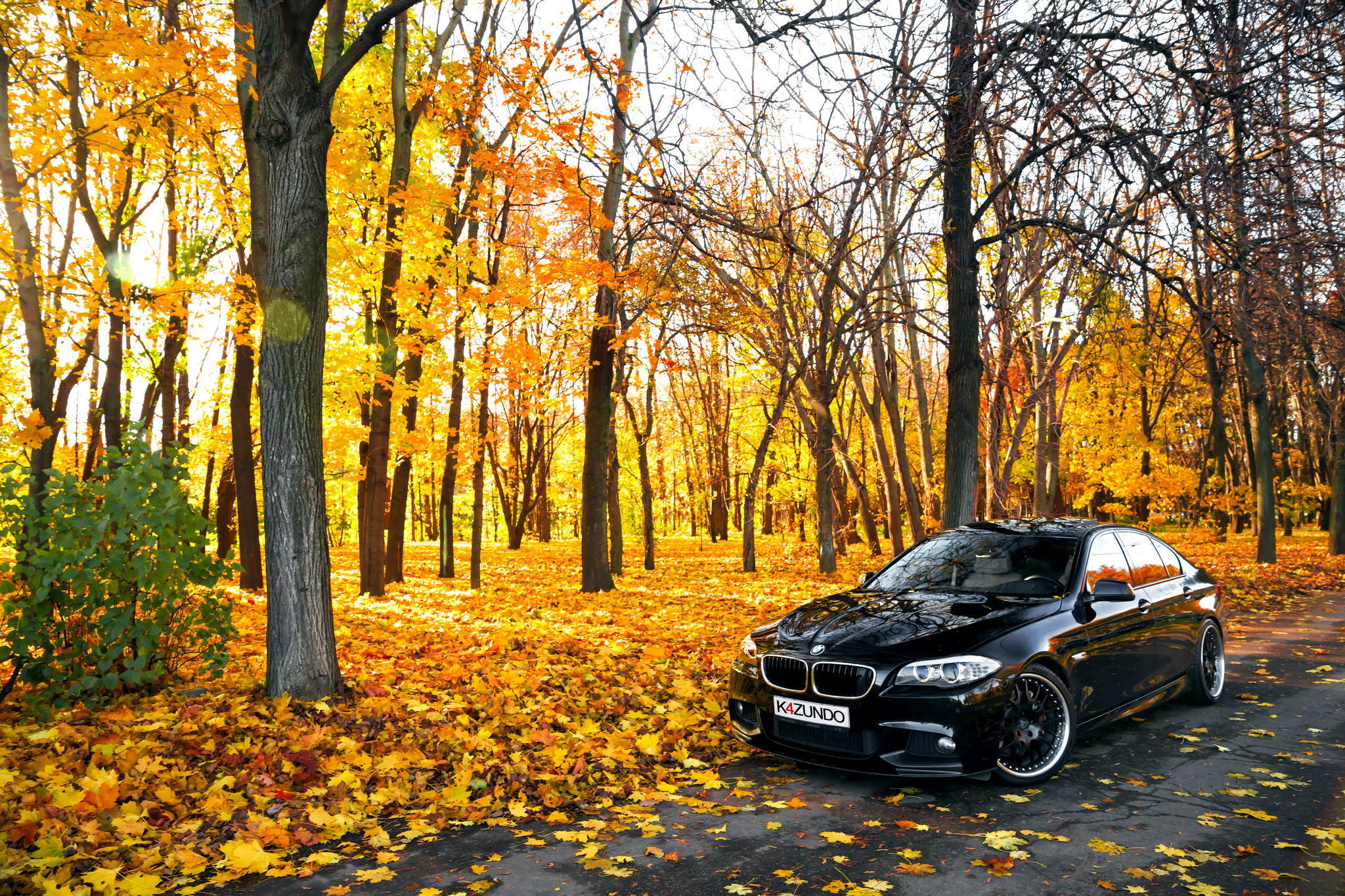 BMW HD Háttérkép 146