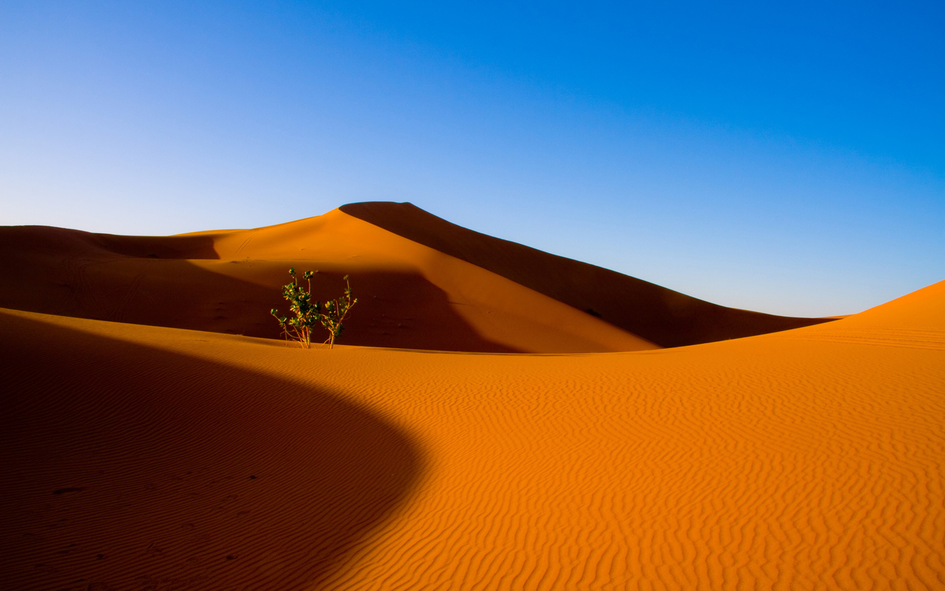 Fantasztikus Sivatag Háttérkép 106