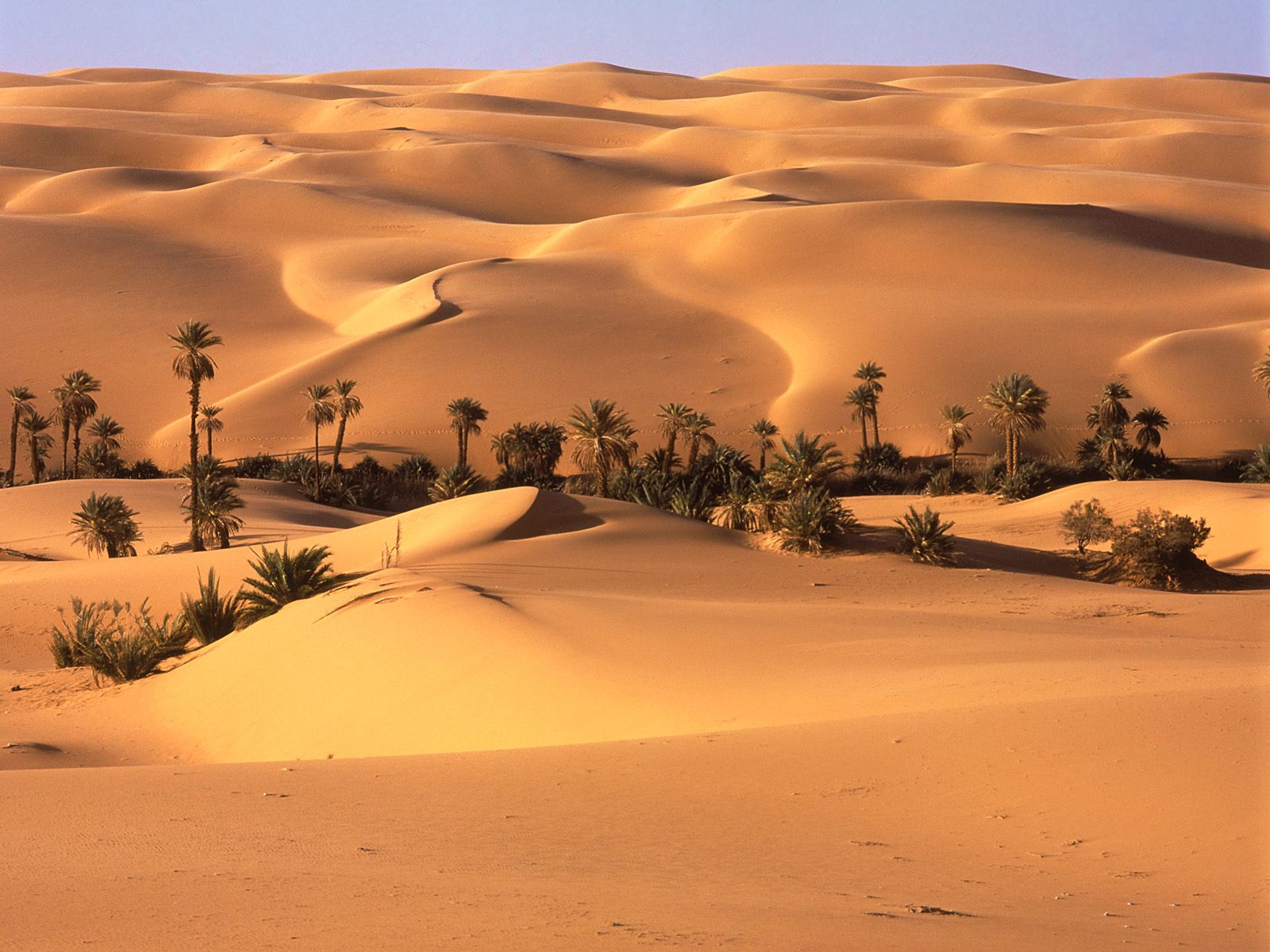 Fantasztikus Sivatag Háttérkép 35