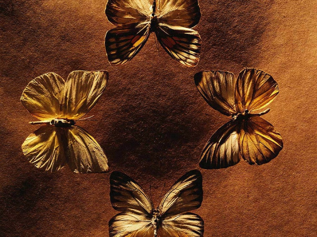 Szépséges Pillangó Háttérkép 12